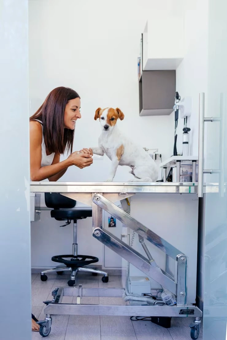 Hemograma veterinário em Meia Praia