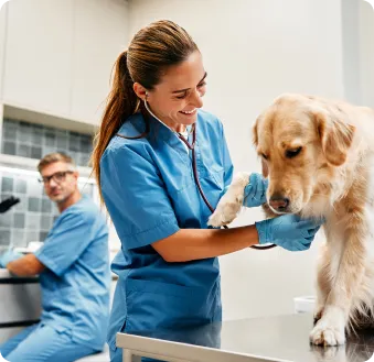Clínica Veterinária